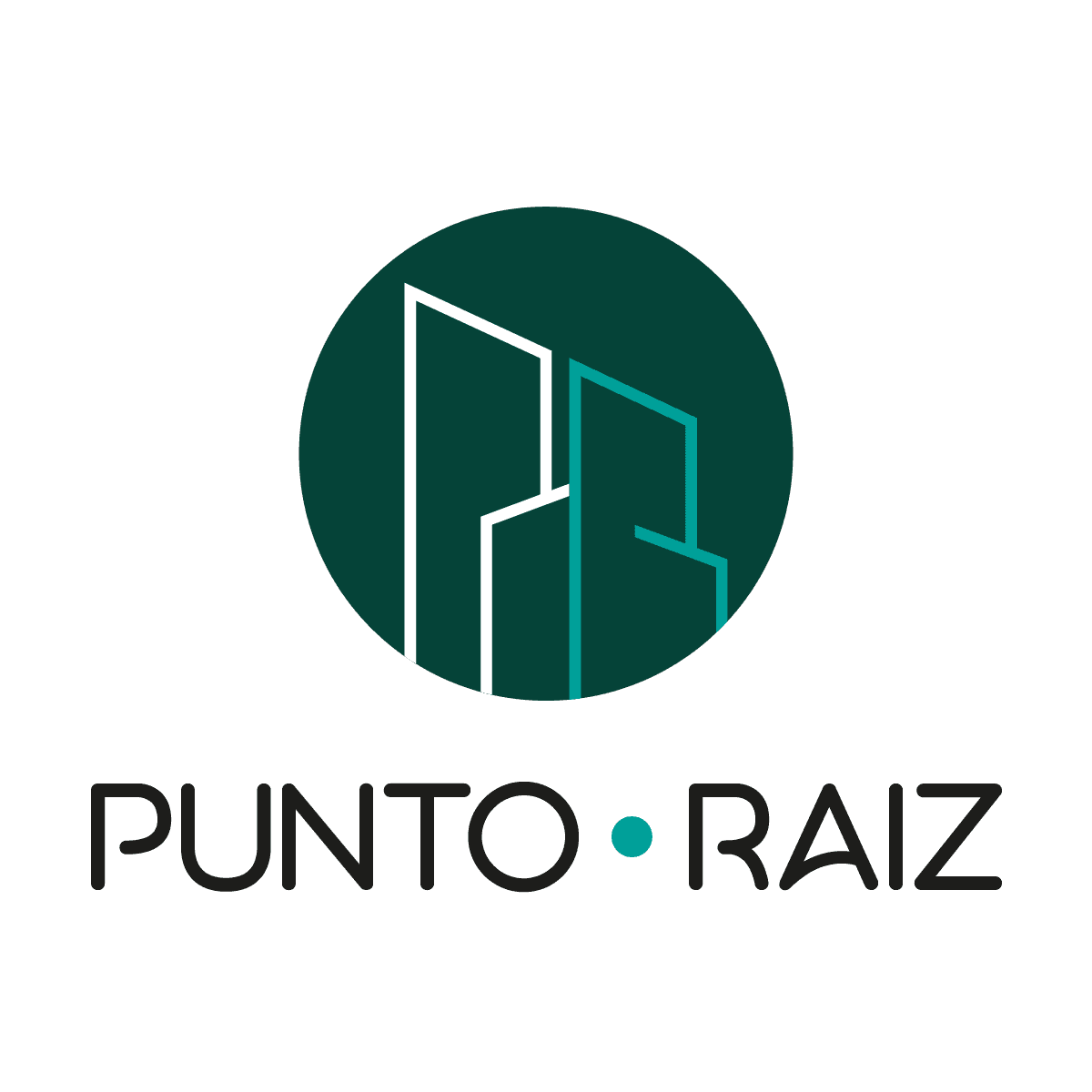 Punto Raiz-E&S Real State