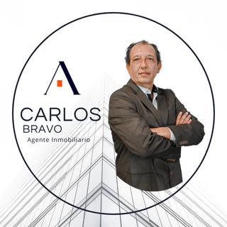 Carlos Bravo